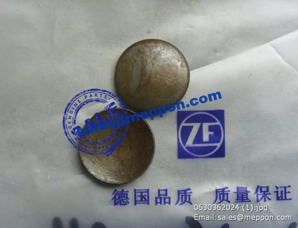 0630362024 SEALING CAP 7200001521 860116163 SP100034 0630 362 024