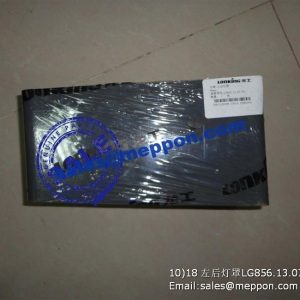 LG856.13.07.03 LONKING LEFT REAR LAMP