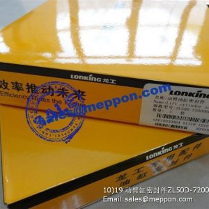 ZL50D-720000C 68010030064 lift cylinder seal