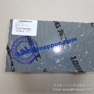 LONKING RIGHT REAR LAMP CASE LG856.13.07.15