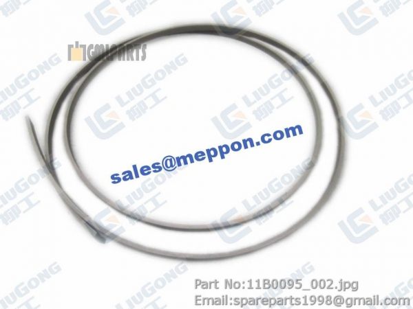 SUPPORT RING