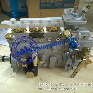 13053063 4110000991002 W010251940 SP126330 fuel inject pump sdlg liugong sem shantui foton lovol weichai deutz spare parts