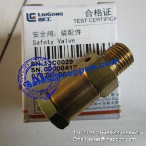 13C0029 CT6B9644 6B9664 VALVE LIUGONG CLG835