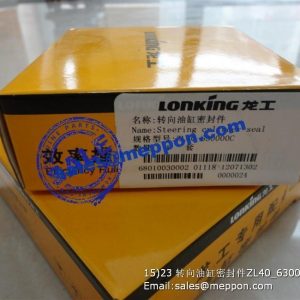 STEERING CYLINDER SEAL ZL40-630000C 68010030002