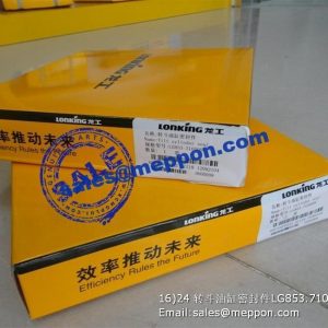 LG853-710000C 68010030022 TILT CYLINDER SEAL