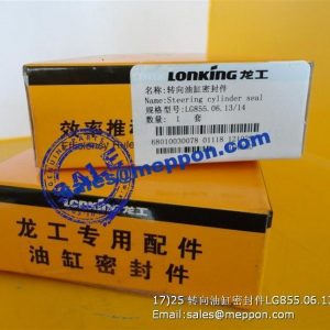 STEERING CYLINDER SEAL LG856.06.13/14 68010030078