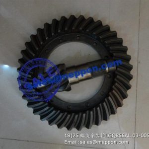 LGQ853NL.02-001 LGQ856AL.03-005/006 sprial bevel gear and pinion