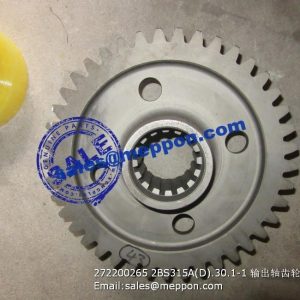 272200265 2BS315A(D).30.1-1 Output Shaft Gear