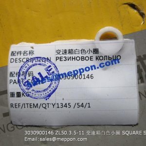 3030900146 ZL50.3.5-11 SDLG SQUARE SEAL
