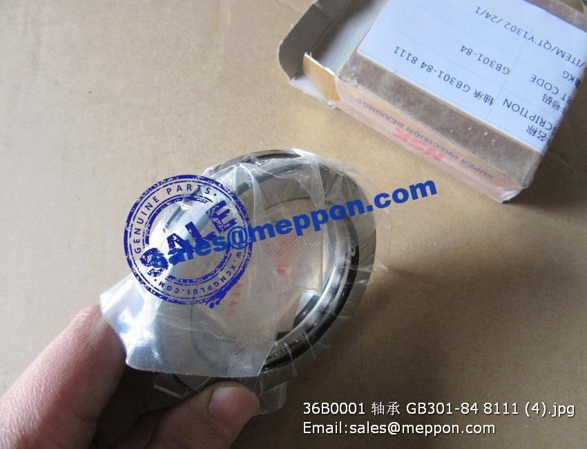 法螺貝4個セット 大法螺貝 法螺貝 4個のセット 法螺貝 4個のセット 法螺貝 35cm ZX 30 /