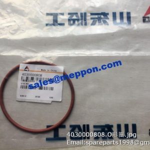 4030000808 O-RING
