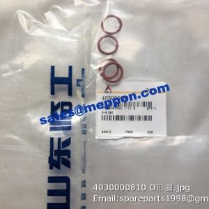 4030000810 O-RING