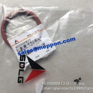 4030000813 O-RING