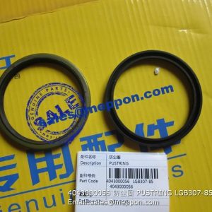 4043000056 DUST RING LGB307-85