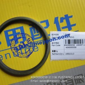4043000058 SDLG PUSTRING LGB307-110