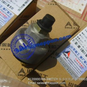 4120000760 SWITCH LY-3720002