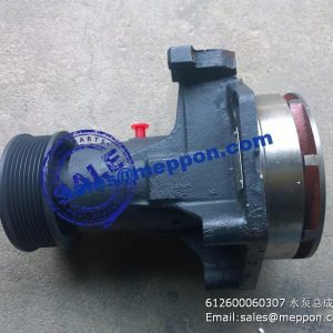 612600060307 WATER PUMP