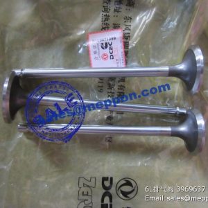 3969637 valve exhaust