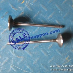 4981795 valve exhaust