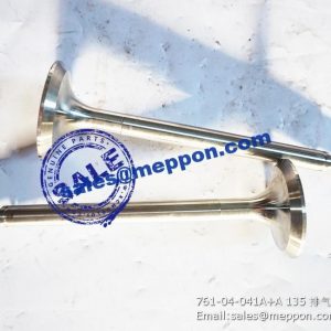 761-04-041A+A 6135AK 4135A VALVE EXHAUST PS06982 860109145 SP100834