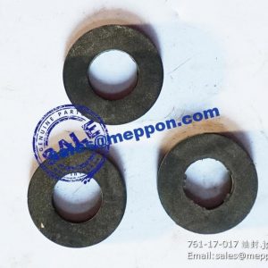 761-17-017 oil seal