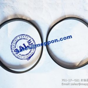761-17-021 seal ring shangchai spare parts