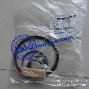 LONKING WHEEL LOADER STEERING GEAR SEAL BZZ
