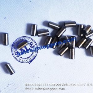 B00001163 114 GBT900-AM10X30-8.8-Y pin