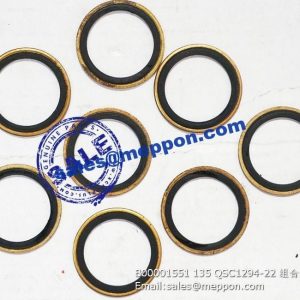 B00001551 135 QSC1294-22 washer PS08640