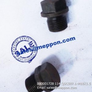 B00001728 114 QSC587.1-M18X1.5 PLUG 4190000536436 PS08707 4110001386012