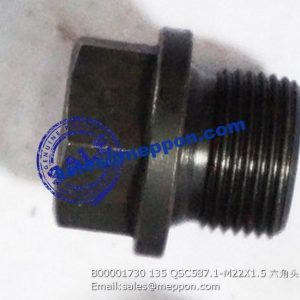 B00001730 135 QSC587.1-M22X1.5 PLUG PS08709