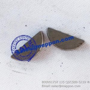 B00001737 135 QSC588-5X19 KEY PS08714