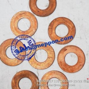 B00001817 135 QSC598-10X22 washer PS08739 4110000036083