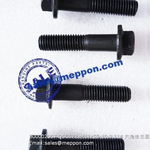 B00002067 QSC622-M12x55-10.9 114 bolt PS08863 4110002443013