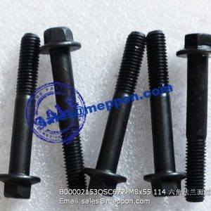 B00002153 QSC622-M8x55 114 bolt PS08896 4110000036115