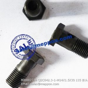 B00002224 QSC642.3-1-M14X1.5X30 135 bolt PS08912