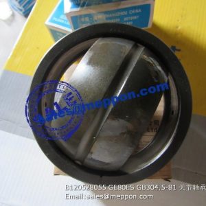 B120528055 GE80ES GB304.5-81 joint bearing