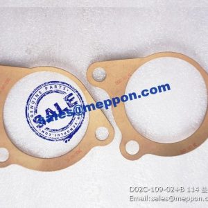 D02C-109-02+A 114 gasket D02C-109-02+B PS10901 4110001300042 SP101324