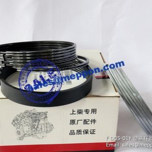 F/D05-01Y PISTON RING PS12915 860109871 SP110903