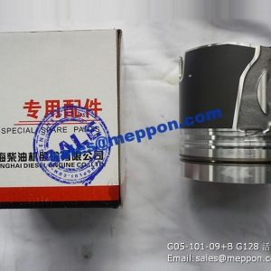 G05-101-09+B G128 PISTON PS15357