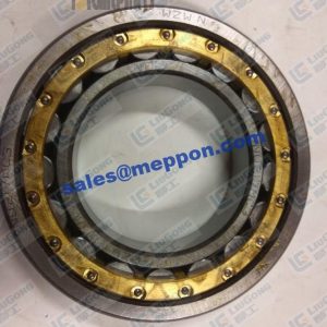 ROLLER BEARING