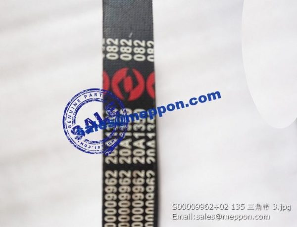 S00009962+02 135 BELT - Image 2