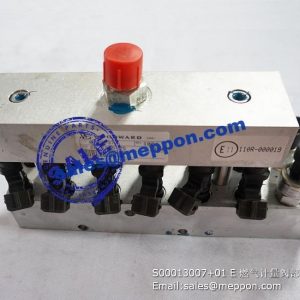 S00013007+01 E meter