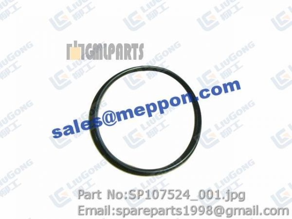 O-RING