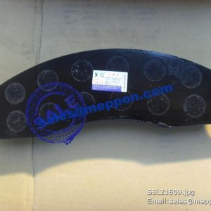 75700434 Friction Pad Assembly ZL40.12.4-4 860115461