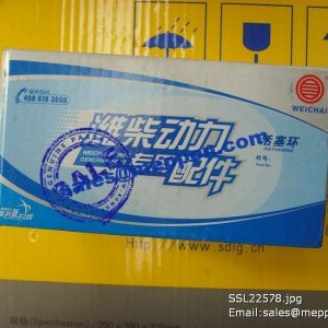 612600030054 weichai wp12 piston ring