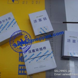430-1004019 PISTON PIN YUCHAI SPARE PARTS