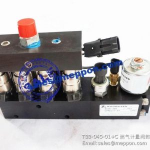 T88-045-01+C GAS METER VALVE PS13669