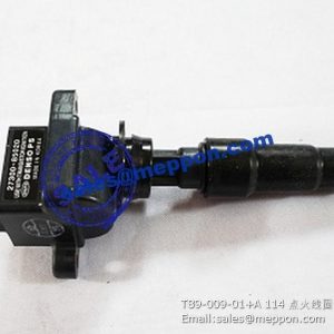 coil assy,ignit T89-009-01+A 114 PS13802