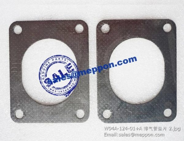 W04A-124-01+A GASKET
